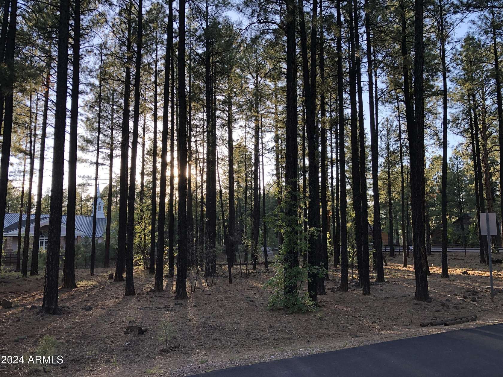 0.18 Acres of Residential Land for Sale in Pinetop, Arizona