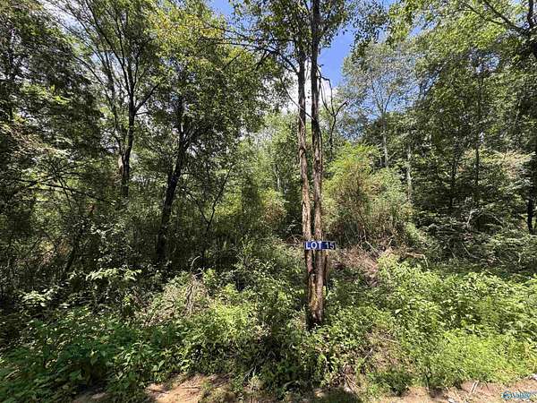 5.2 Acres of Land for Sale in Albertville, Alabama