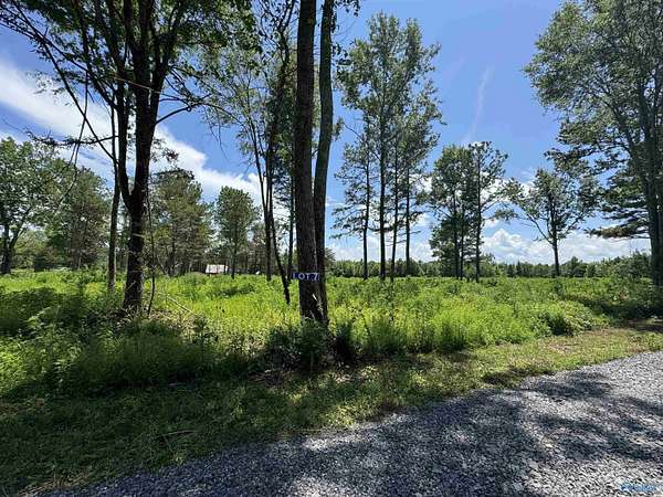 1.62 Acres of Land for Sale in Albertville, Alabama