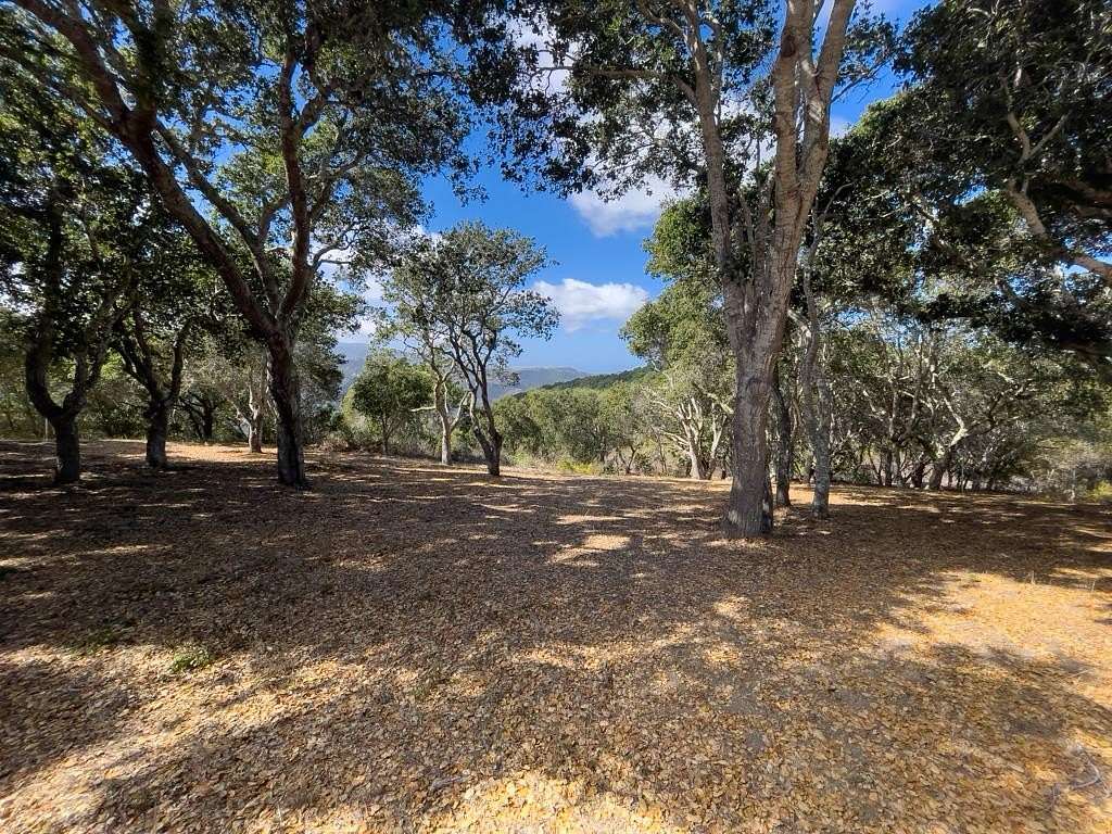 43.5 Acres of Land for Sale in Carmel-by-the-Sea, California