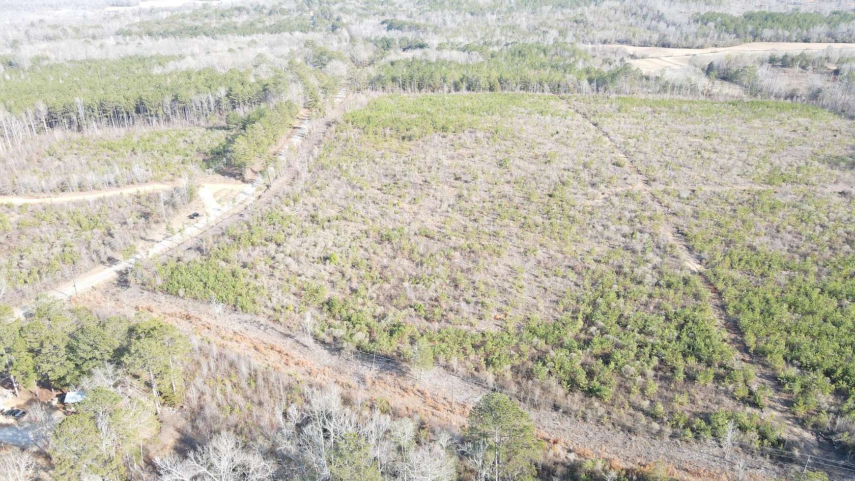 6.54 Acres of Residential Land for Sale in Millport, Alabama