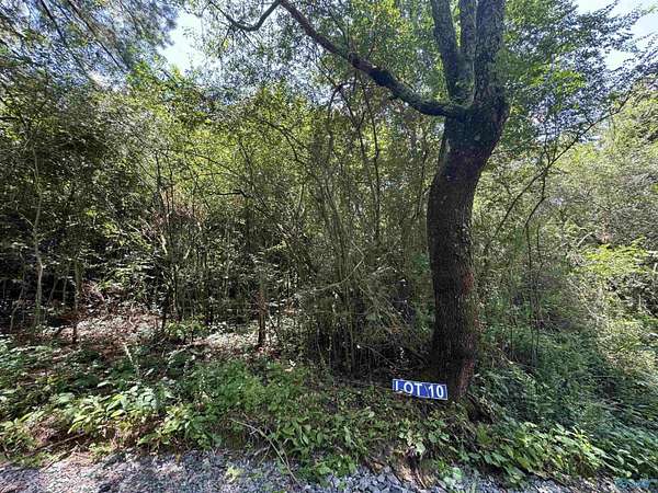 3 Acres of Land for Sale in Albertville, Alabama