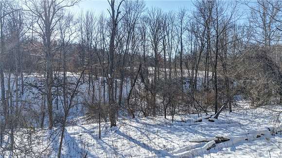 37.5 Acres of Recreational Land for Sale in Caldwell, Ohio