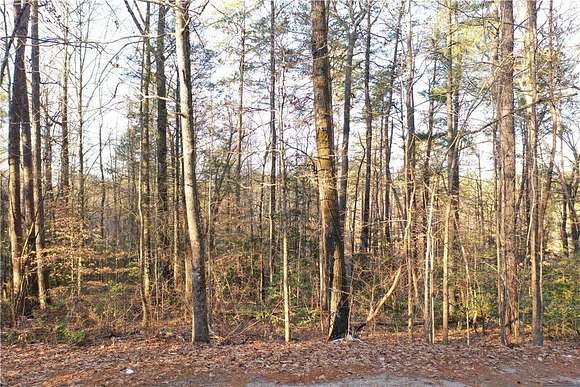 0.73 Acres of Residential Land for Sale in Tamassee, South Carolina