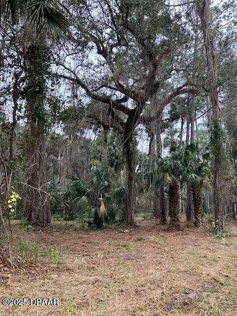 0.33 Acres of Residential Land for Sale in Pierson, Florida