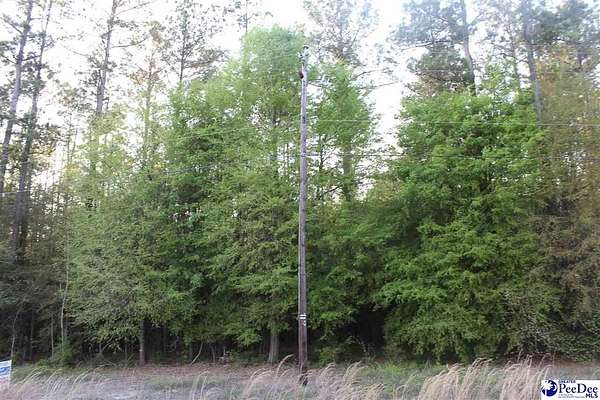 1.1 Acres of Residential Land for Sale in Andrews, South Carolina