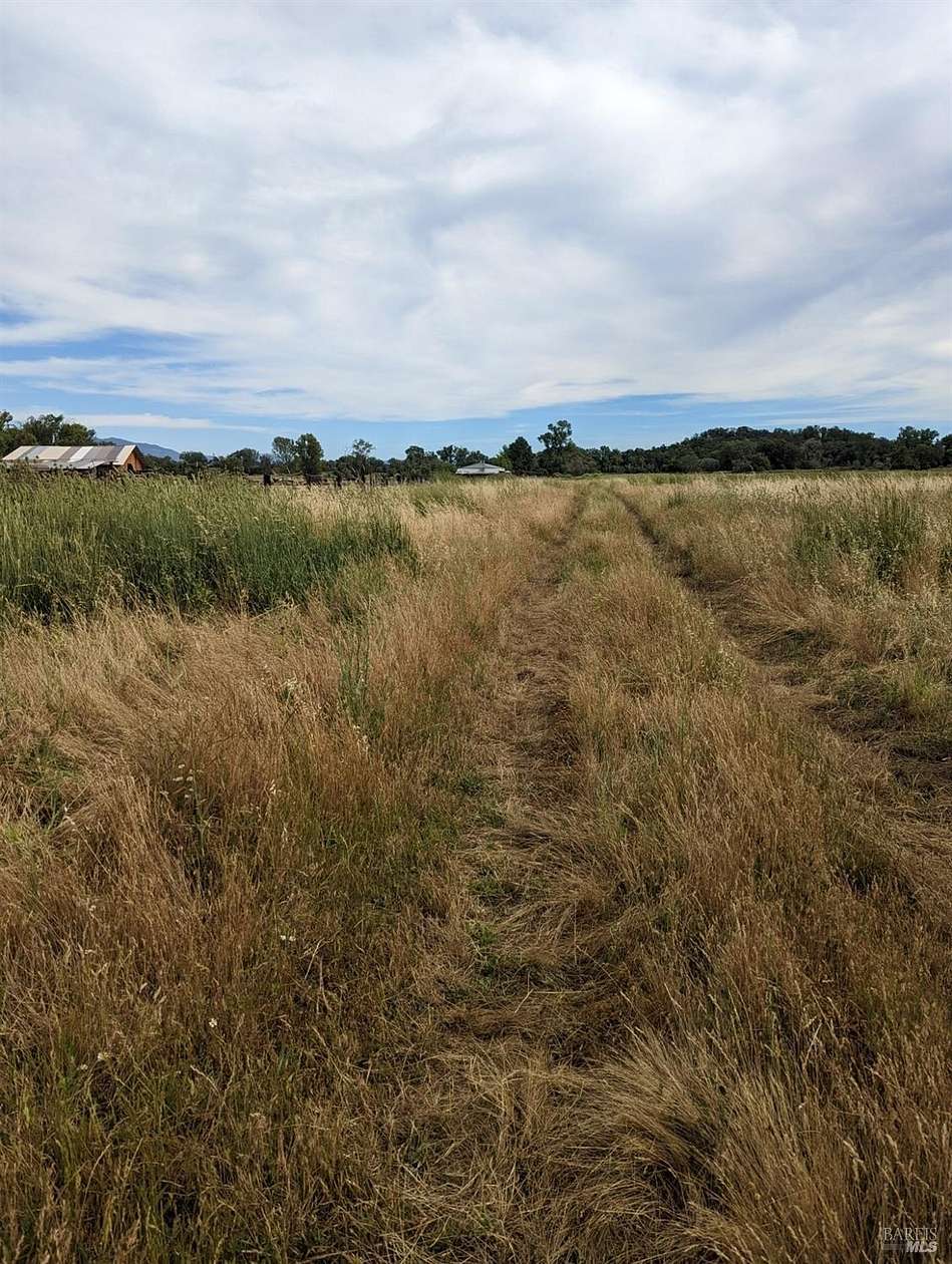 20 Acres of Agricultural Land for Sale in Upper Lake, California