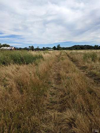 20 Acres of Agricultural Land for Sale in Upper Lake, California