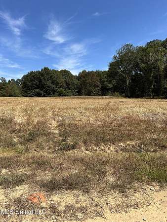 2.58 Acres of Land for Sale in Byhalia, Mississippi