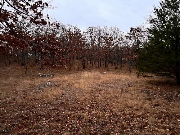 80 Acres of Recreational Land for Sale in Vamoosa, Oklahoma