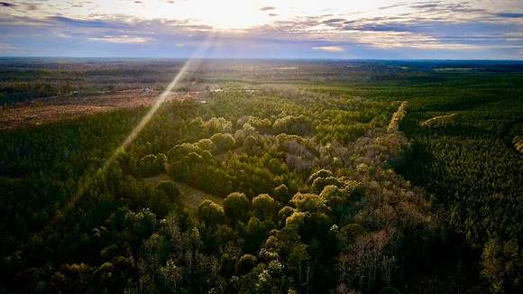 80 Acres of Land with Home for Sale in Peterman, Alabama