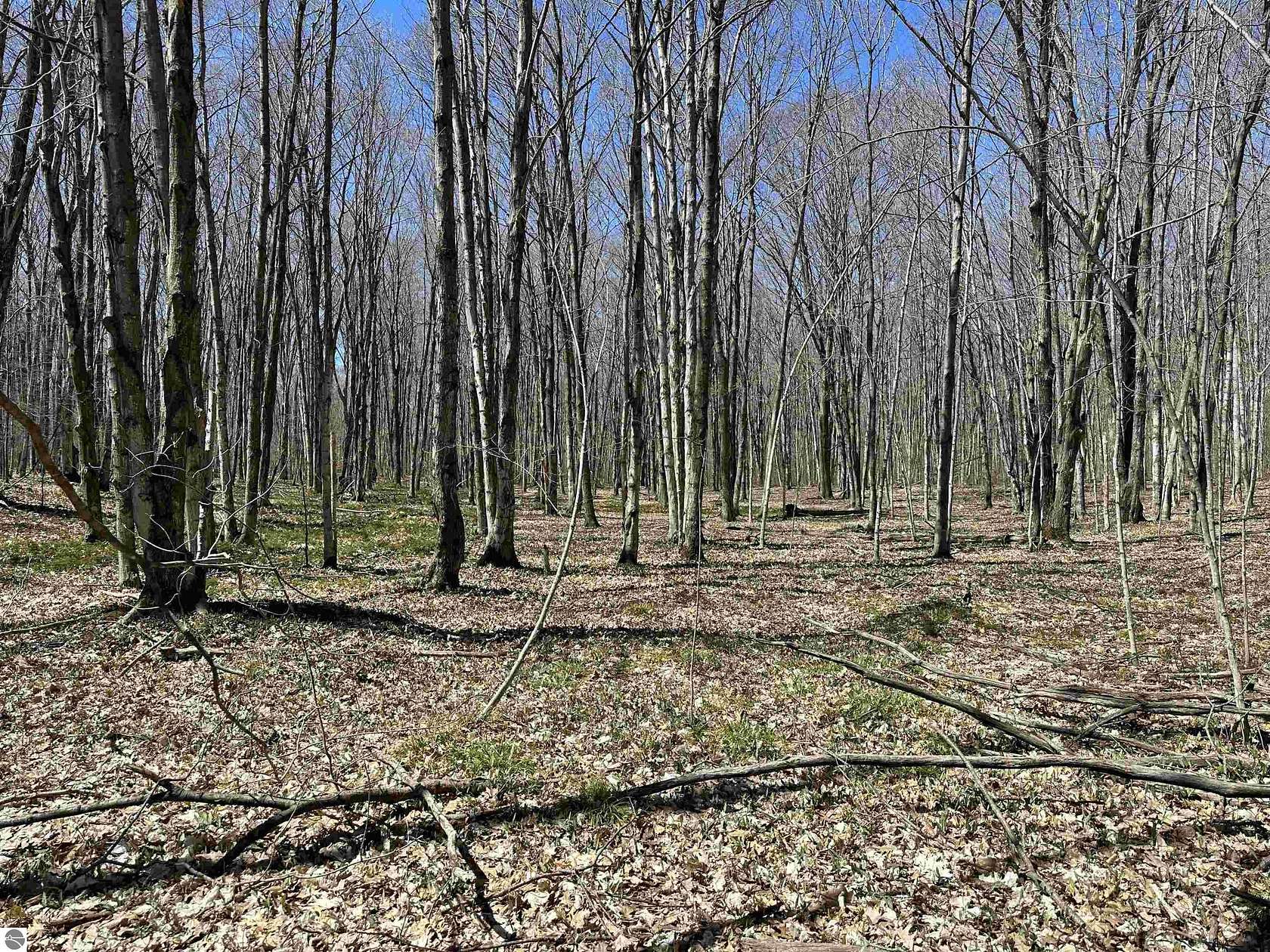 561 Acres of Recreational Land for Sale in Beaver Island, Michigan