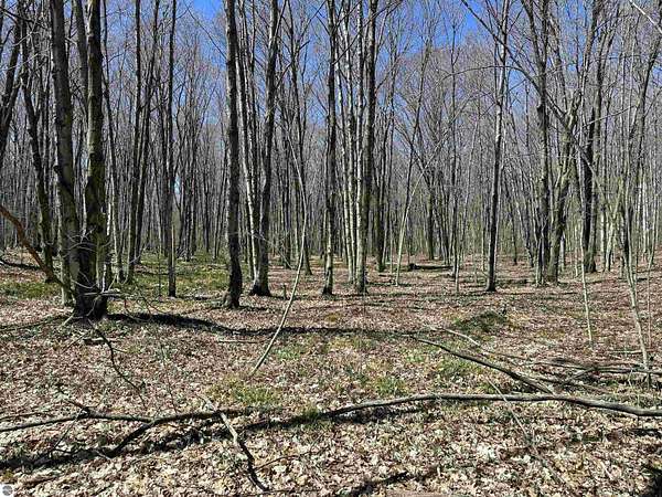 561 Acres of Recreational Land for Sale in Beaver Island, Michigan