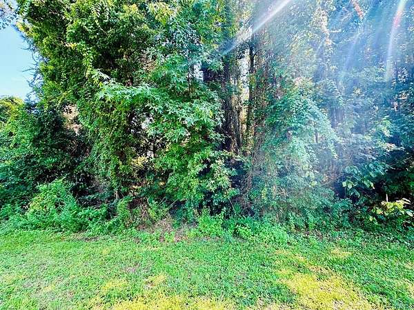1.53 Acres of Commercial Land for Sale in Eastpoint, Florida
