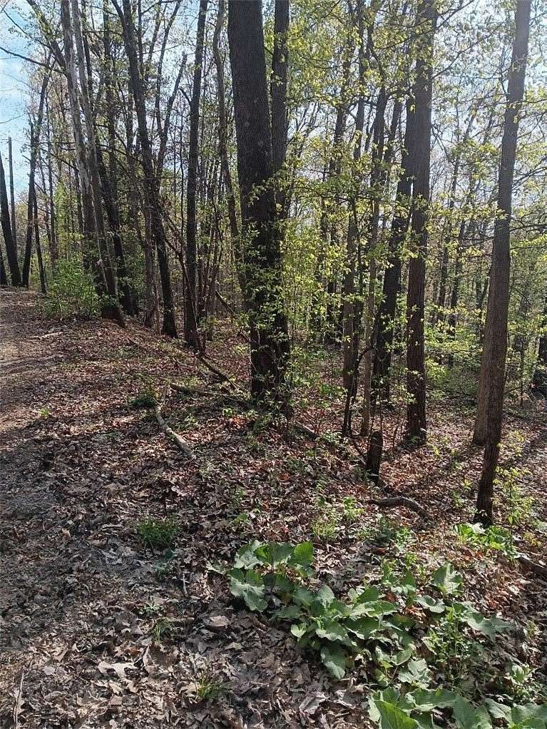 0.25 Acres of Residential Land for Sale in Bella Vista, Arkansas