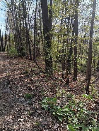 0.25 Acres of Residential Land for Sale in Bella Vista, Arkansas