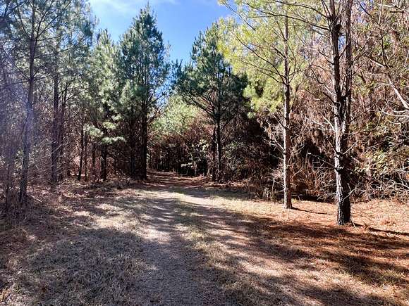 100 Acres of Recreational Land & Farm for Sale in Demopolis, Alabama