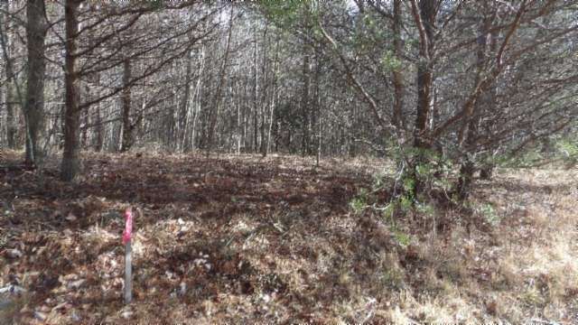 9.75 Acres of Land for Sale in Spencer, Tennessee