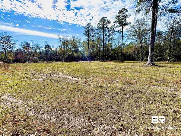 Land for Sale in Brewton, Alabama