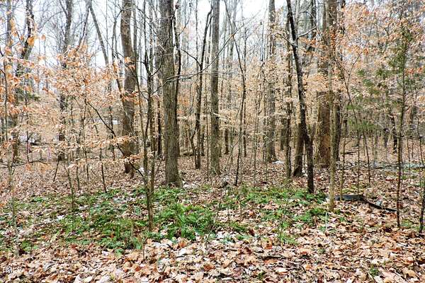 1.5 Acres of Residential Land for Sale in Hillsborough, North Carolina