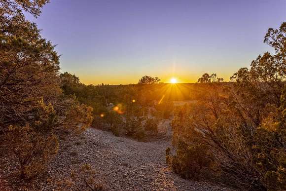 29 Acres of Land for Sale in Burnet, Texas