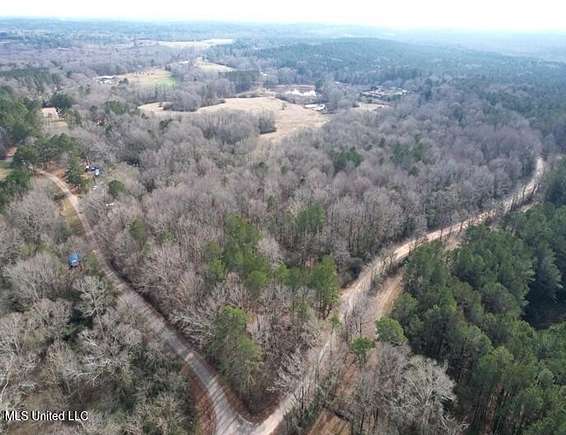 60.5 Acres of Land for Sale in Carthage, Mississippi