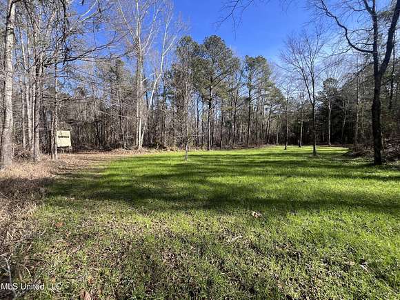 66 Acres of Recreational Land for Sale in Crystal Springs, Mississippi