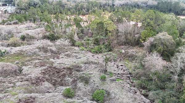 12.4 Acres of Mixed-Use Land for Sale in Theodore, Alabama