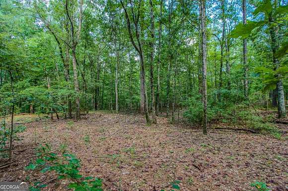 12 Acres of Land for Sale in Tyrone, Georgia