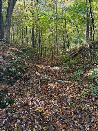 36.8 Acres of Recreational Land for Sale in Turtle Lake, Wisconsin