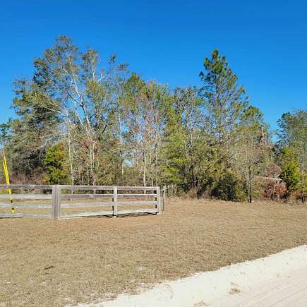 40 Acres of Recreational Land for Sale in Lee, Florida