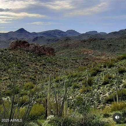 5 Acres of Land for Sale in Queen Valley, Arizona