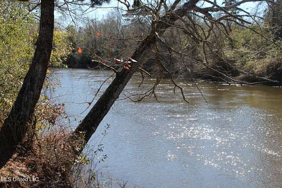 13.2 Acres of Recreational Land for Sale in Lucedale, Mississippi