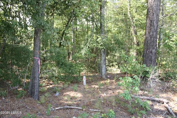 21 Acres of Recreational Land for Sale in Garnett, South Carolina