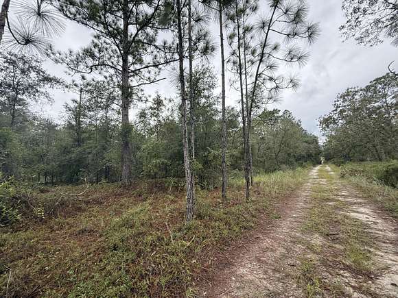 1.178 Acres of Residential Land for Sale in Bronson, Florida