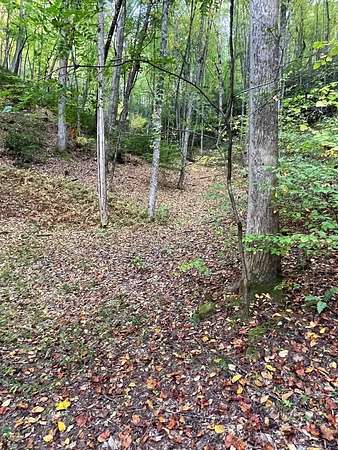 1.38 Acres of Residential Land for Sale in Franklin, North Carolina