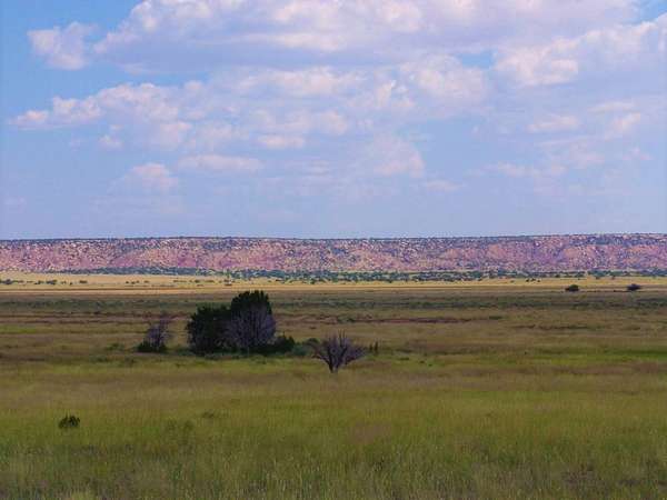 141 Acres of Recreational Land & Farm for Sale in Quemado, New Mexico