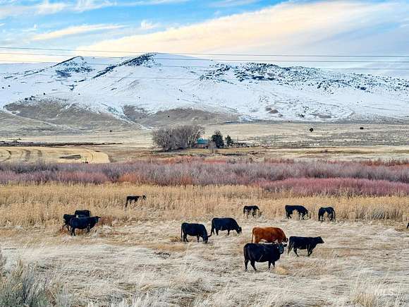 76.95 Acres of Recreational Land & Farm for Sale in Malta, Idaho