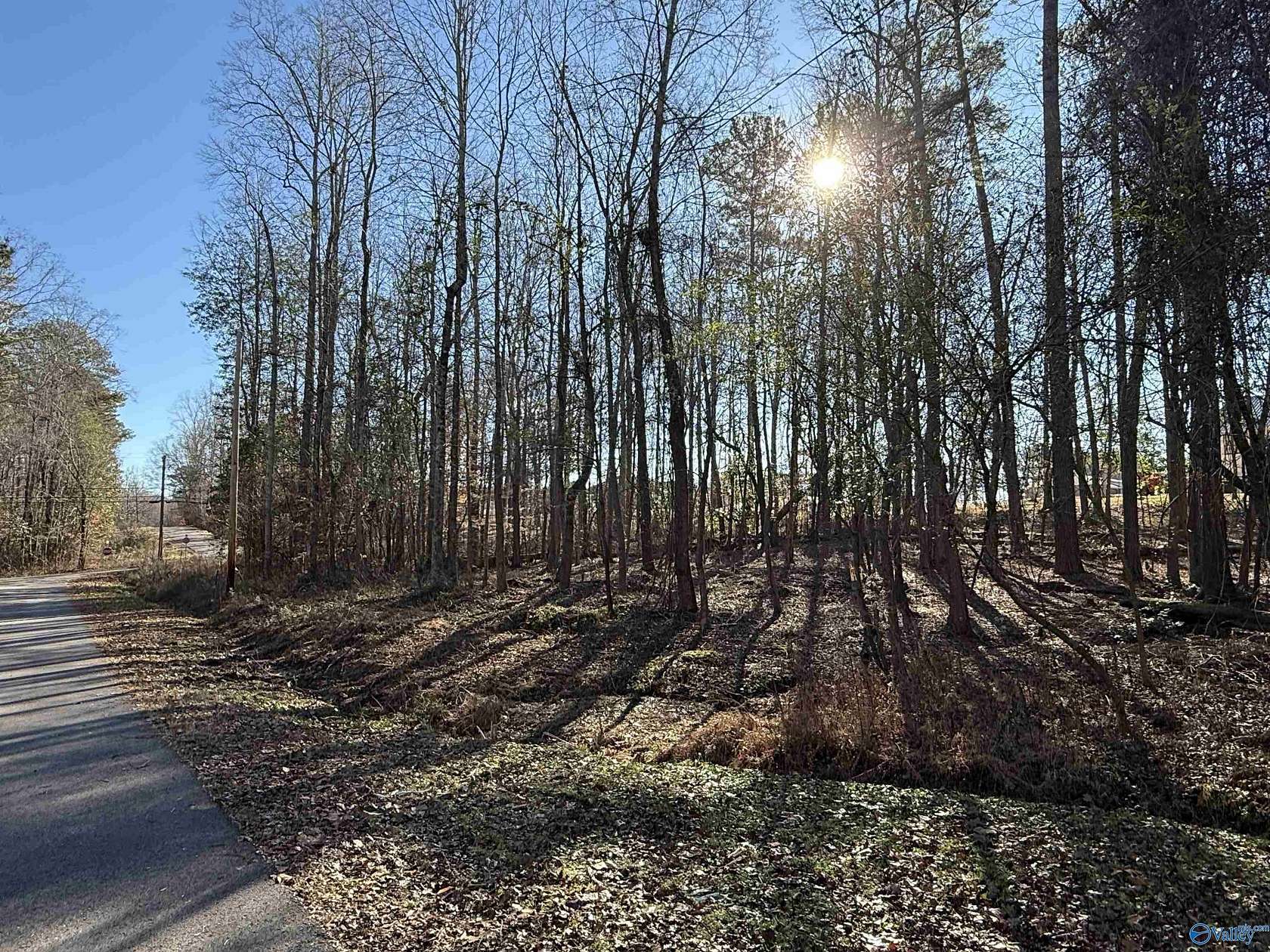 0.44 Acres of Land for Sale in Southside, Alabama