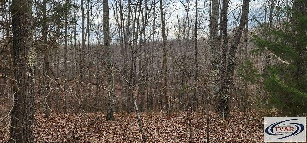 1 Acre of Residential Land for Sale in Holladay, Tennessee
