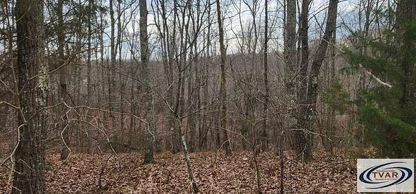 1 Acre of Land for Sale in Holladay, Tennessee