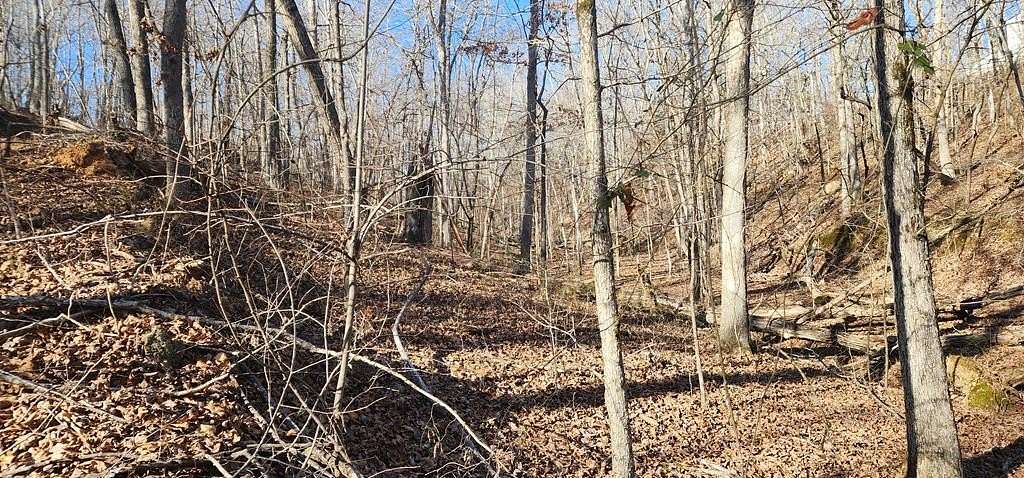 0.45 Acres of Land for Sale in Holladay, Tennessee
