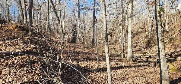 0.45 Acres of Land for Sale in Holladay, Tennessee