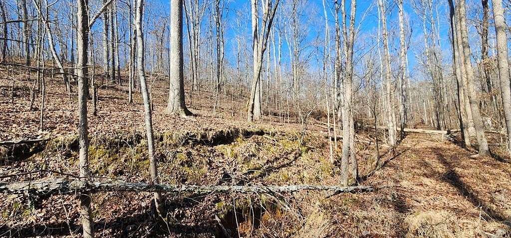 0.45 Acres of Residential Land for Sale in Holladay, Tennessee