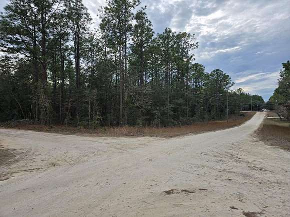 1 Acre of Residential Land for Sale in Dunnellon, Florida