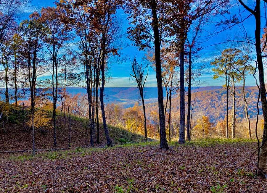 2 Acres of Residential Land for Sale in Jasper, Tennessee