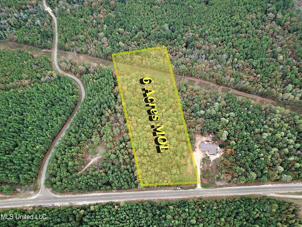 5.75 Acres of Land for Sale in Louin, Mississippi