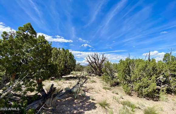 25 Acres of Recreational Land & Farm for Sale in St. Johns, Arizona