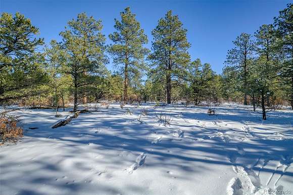 38.54 Acres of Land for Sale in Weston, Colorado