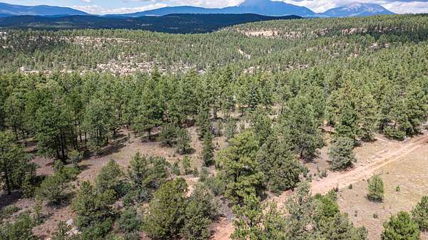 38 Acres of Land for Sale in Weston, Colorado